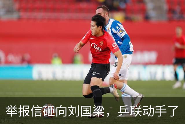 举报信砸向刘国梁，乒联动手了